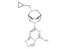7-[(1R*,5R*)-6-(cyclopropylmethyl)-3,6-diazabicyclo[3.2.2]non-3-yl][1,2,4]triazolo[4,3-c]pyrimidin-5-amine