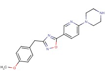 1-{5-[3-(4-methoxybenzyl)-1,2,4-oxadiazol-5-yl]pyridin-2-yl}piperazine