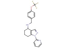 1-(2-pyridinyl)-N-[4-(trifluoromethoxy)benzyl]-4,5,6,7-tetrahydro-1H-indazol-4-amine