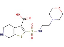 2-{[(2-morpholin-4-ylethyl)amino]sulfonyl}-4,5,6,7-tetrahydrothieno[2,3-c]pyridine-3-carboxylic acid