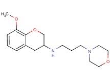 (8-methoxy-3,4-dihydro-2H-chromen-3-yl)[3-(4-morpholinyl)propyl]amine