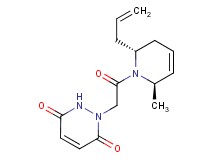 1-{2-[(2R*,6R*)-2-allyl-6-methyl-3,6-dihydropyridin-1(2H)-yl]-2-oxoethyl}-1,2-dihydropyridazine-3,6-dione