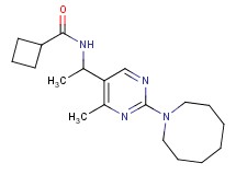 N-{1-[2-(1-azocanyl)-4-methyl-5-pyrimidinyl]ethyl}cyclobutanecarboxamide