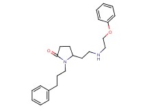 5-{2-[(2-phenoxyethyl)amino]ethyl}-1-(3-phenylpropyl)-2-pyrrolidinone