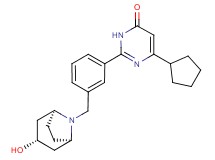 6-cyclopentyl-2-(3-{[(3-endo)-3-hydroxy-8-azabicyclo[3.2.1]oct-8-yl]methyl}phenyl)pyrimidin-4(3H)-one