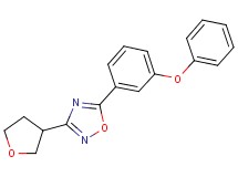 5-(3-phenoxyphenyl)-3-(tetrahydrofuran-3-yl)-1,2,4-oxadiazole