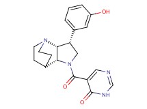 5-{[(3R*,3aR*,7aR*)-3-(3-hydroxyphenyl)hexahydro-4,7-ethanopyrrolo[3,2-b]pyridin-1(2H)-yl]carbonyl}pyrimidin-4(3H)-one