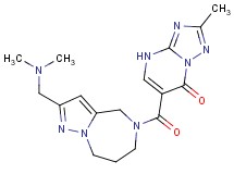 6-{[2-[(dimethylamino)methyl]-7,8-dihydro-4H-pyrazolo[1,5-a][1,4]diazepin-5(6H)-yl]carbonyl}-2-methyl[1,2,4]triazolo[1,5-a]pyrimidin-7(4H)-one