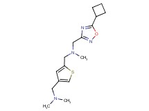 1-(5-cyclobutyl-1,2,4-oxadiazol-3-yl)-N-({4-[(dimethylamino)methyl]-2-thienyl}methyl)-N-methylmethanamine