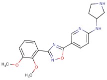 5-[3-(2,3-dimethoxyphenyl)-1,2,4-oxadiazol-5-yl]-N-pyrrolidin-3-ylpyridin-2-amine