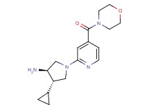 (3R*,4S*)-4-cyclopropyl-1-[4-(morpholin-4-ylcarbonyl)pyridin-2-yl]pyrrolidin-3-amine