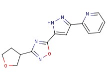 2-{5-[3-(tetrahydrofuran-3-yl)-1,2,4-oxadiazol-5-yl]-1H-pyrazol-3-yl}pyridine