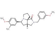 (3aS*,5S*,9aS*)-2-(3-methoxybenzyl)-5-(4-methoxy-3-methylphenyl)hexahydro-7H-pyrrolo[3,4-g]pyrrolizin-1(2H)-one