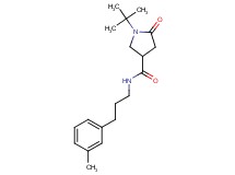 1-tert-butyl-N-[3-(3-methylphenyl)propyl]-5-oxo-3-pyrrolidinecarboxamide