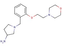 1-{2-[2-(4-morpholinyl)ethoxy]benzyl}-3-pyrrolidinamine dihydrochloride