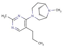(1R*,6S*)-9-methyl-3-(2-methyl-5-propylpyrimidin-4-yl)-3,9-diazabicyclo[4.2.1]nonane
