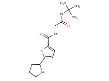 N-[2-(tert-butylamino)-2-oxoethyl]-5-pyrrolidin-2-ylthiophene-2-carboxamide