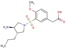 (3-{[(3R*,4S*)-3-amino-4-propylpyrrolidin-1-yl]sulfonyl}-4-methoxyphenyl)acetic acid