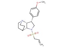 (3R*,3aR*,7aR*)-1-(allylsulfonyl)-3-(4-methoxyphenyl)octahydro-4,7-ethanopyrrolo[3,2-b]pyridine