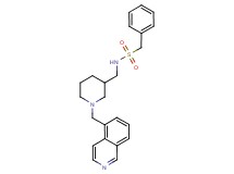 N-{[1-(5-isoquinolinylmethyl)-3-piperidinyl]methyl}-1-phenylmethanesulfonamide