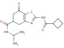 2-[(cyclobutylcarbonyl)amino]-N-isopropyl-7-oxo-4,5,6,7-tetrahydro-1,3-benzothiazole-5-carboxamide