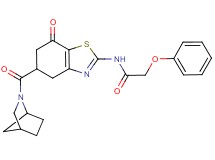 N-[5-(2-azabicyclo[2.2.1]hept-2-ylcarbonyl)-7-oxo-4,5,6,7-tetrahydro-1,3-benzothiazol-2-yl]-2-phenoxyacetamide