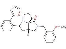 (3aS*,5S*,9aS*)-5-[2-(2-furyl)phenyl]-2-(2-methoxybenzyl)hexahydro-7H-pyrrolo[3,4-g]pyrrolizin-1(2H)-one