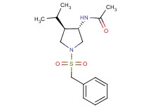 N-[(3S*,4R*)-1-(benzylsulfonyl)-4-isopropyl-3-pyrrolidinyl]acetamide