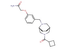 2-(3-{[(1R*,5R*)-3-(cyclobutylcarbonyl)-3,6-diazabicyclo[3.2.2]non-6-yl]methyl}phenoxy)acetamide