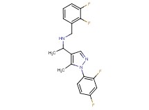 (2,3-difluorobenzyl){1-[1-(2,4-difluorophenyl)-5-methyl-1H-pyrazol-4-yl]ethyl}amine