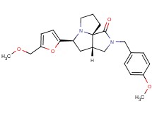(3aS*,5S*,9aS*)-2-(4-methoxybenzyl)-5-[5-(methoxymethyl)-2-furyl]hexahydro-7H-pyrrolo[3,4-g]pyrrolizin-1(2H)-one