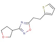 3-(tetrahydrofuran-3-yl)-5-[2-(2-thienyl)ethyl]-1,2,4-oxadiazole