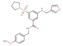 3-[(3-furylmethyl)amino]-N-(4-methoxybenzyl)-5-(1-pyrrolidinylsulfonyl)benzamide