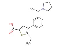 5-ethyl-4-[3-(1-pyrrolidin-1-ylethyl)phenyl]thiophene-2-carboxylic acid