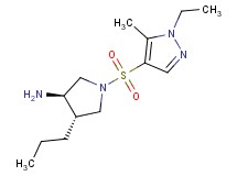 (3R*,4S*)-1-[(1-ethyl-5-methyl-1H-pyrazol-4-yl)sulfonyl]-4-propylpyrrolidin-3-amine