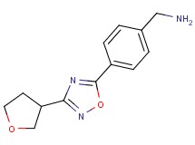 {4-[3-(tetrahydro-3-furanyl)-1,2,4-oxadiazol-5-yl]benzyl}amine hydrochloride