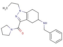 N-benzyl-1-propyl-3-(1-pyrrolidinylcarbonyl)-4,5,6,7-tetrahydro-1H-indazol-5-amine