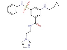 3-(anilinosulfonyl)-5-[(cyclopropylmethyl)amino]-N-[2-(1H-imidazol-1-yl)ethyl]benzamide