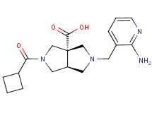 (3aS*,6aS*)-2-[(2-amino-3-pyridinyl)methyl]-5-(cyclobutylcarbonyl)hexahydropyrrolo[3,4-c]pyrrole-3a(1H)-carboxylic acid