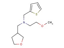 (2-methoxyethyl)(tetrahydrofuran-3-ylmethyl)(2-thienylmethyl)amine