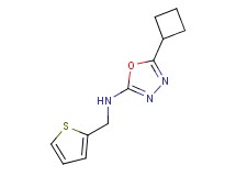 5-cyclobutyl-N-(2-thienylmethyl)-1,3,4-oxadiazol-2-amine