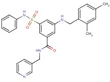 3-(anilinosulfonyl)-5-[(2,4-dimethylbenzyl)amino]-N-(3-pyridinylmethyl)benzamide