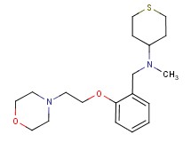 N-methyl-N-[2-(2-morpholin-4-ylethoxy)benzyl]tetrahydro-2H-thiopyran-4-amine