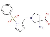 3-amino-1-{[1-(phenylsulfonyl)-1H-pyrrol-2-yl]methyl}pyrrolidine-3-carboxylic acid