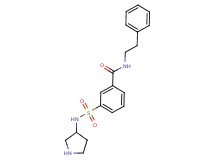 N-(2-phenylethyl)-3-[(pyrrolidin-3-ylamino)sulfonyl]benzamide