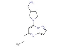 1-[1-(5-propylpyrazolo[1,5-a]pyrimidin-7-yl)-3-pyrrolidinyl]methanamine