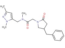 2-(4-benzyl-2-oxopyrrolidin-1-yl)-N-[(1,3-dimethyl-1H-pyrazol-5-yl)methyl]-N-methylacetamide