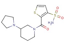 2-{[3-(1-pyrrolidinyl)-1-piperidinyl]carbonyl}-3-thiophenesulfonamide