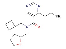 N-(cyclobutylmethyl)-4-propyl-N-(tetrahydrofuran-2-ylmethyl)pyrimidine-5-carboxamide