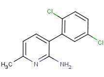 3-(2,5-dichlorophenyl)-6-methylpyridin-2-amine